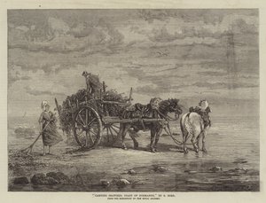 Carting Seaweed, Coast of Normandy, from the Exhibition of the Royal Academy by Samuel C. Bird